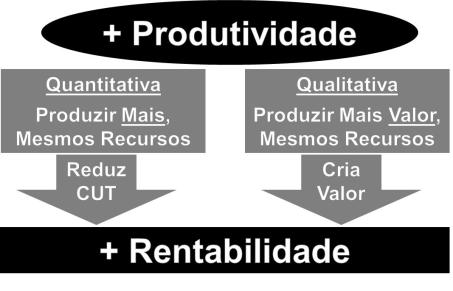 Produtividade e Rentabilidade